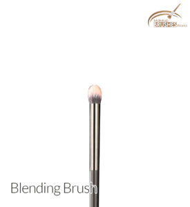 Meteorite-Collection-Brushes